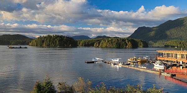 harbour and docks and floatplanes