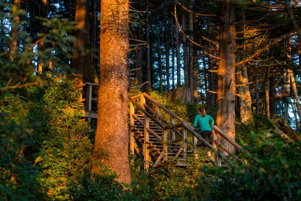 Woman hiking up wooden stairs on Tonquin Trail