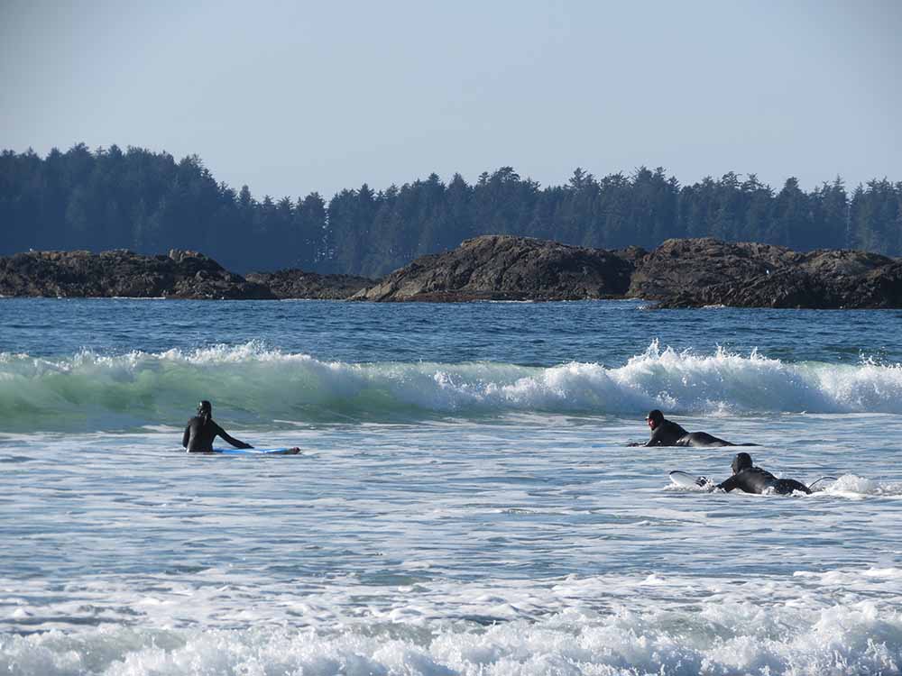 are dogs allowed on long beach tofino