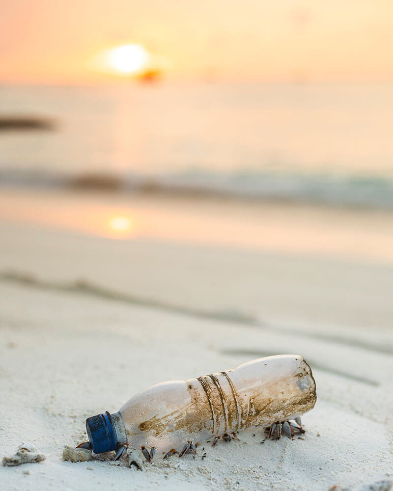 Plastic bottle left on the beach