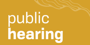 Public Hearing