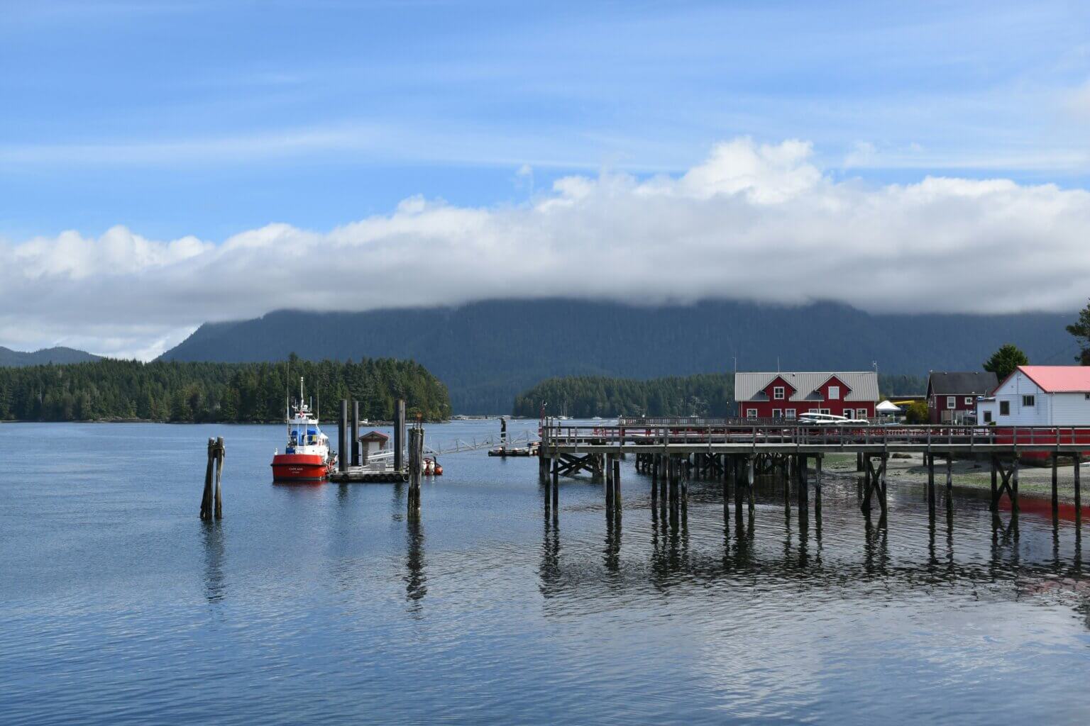 Tofino harbour with mountain backdrop