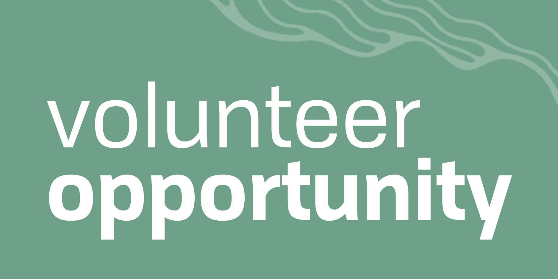 volunteer opportunity