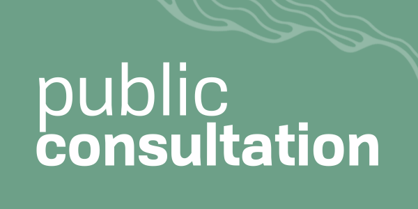 public consultation