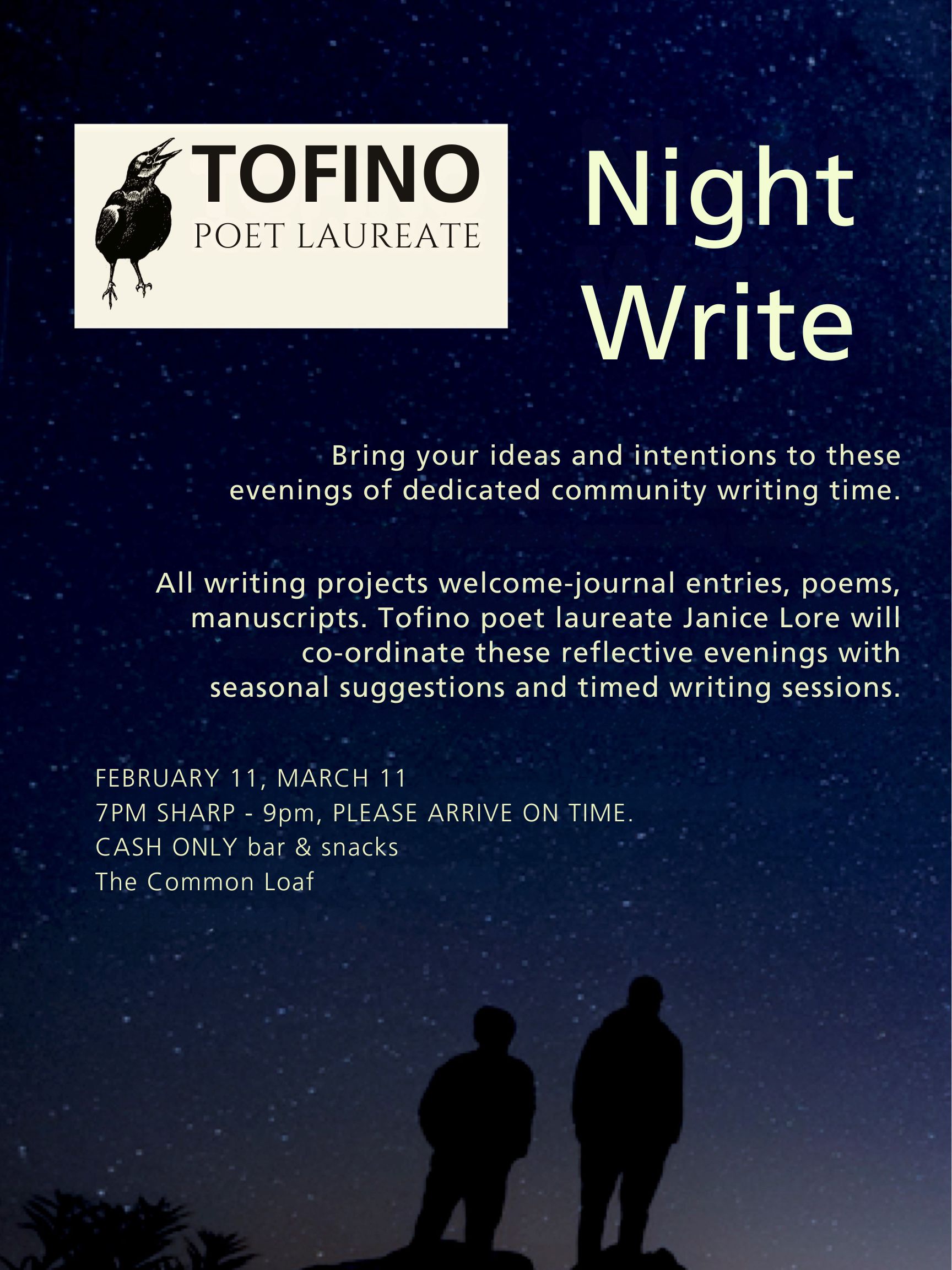 Night Write poster 2025 night write
