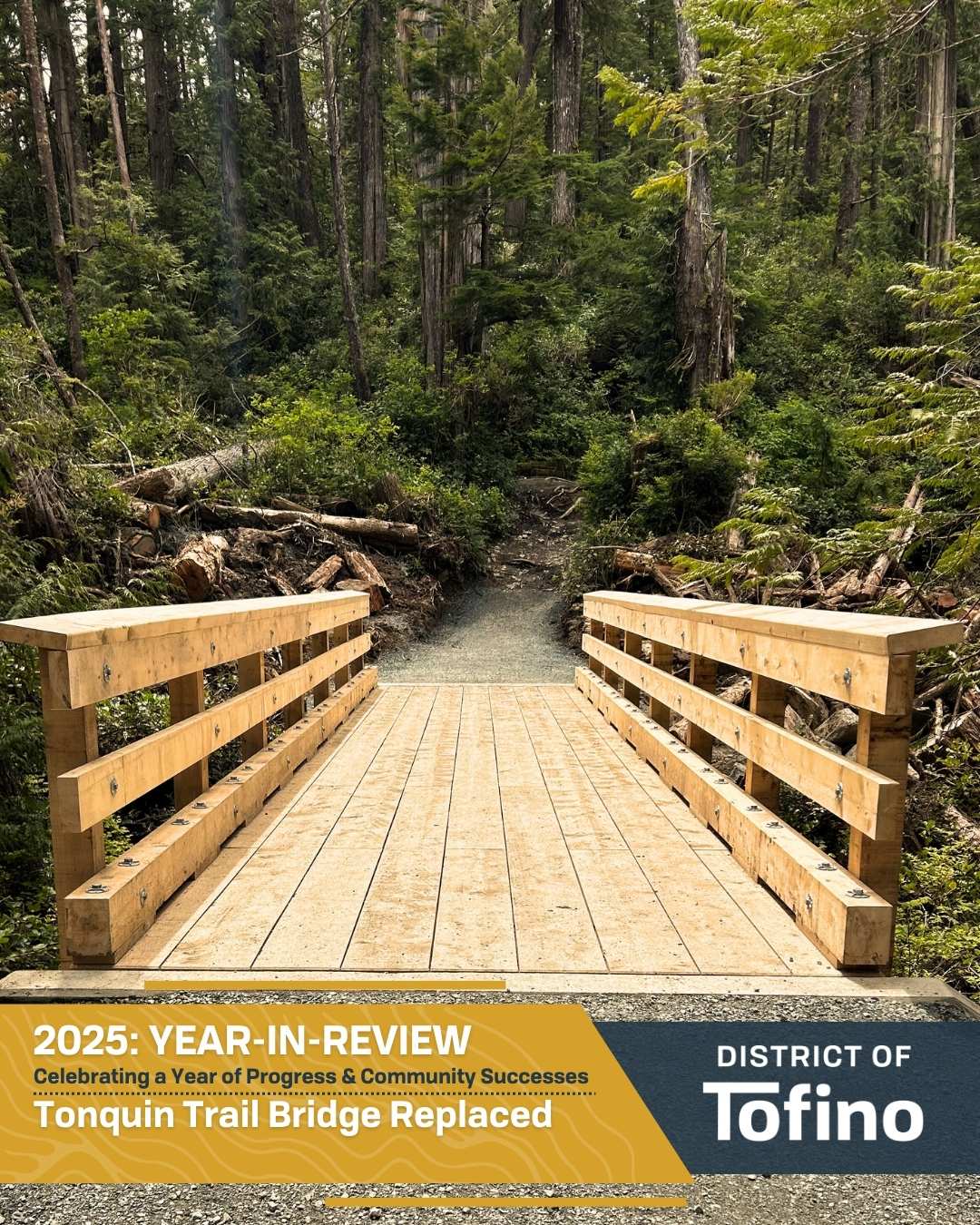 year in review graphic bridge