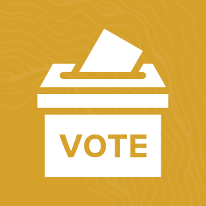 election